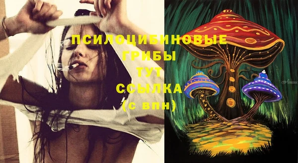 стаф Бронницы