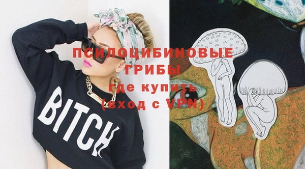 ПСИЛОЦИБИНОВЫЕ ГРИБЫ Богородицк
